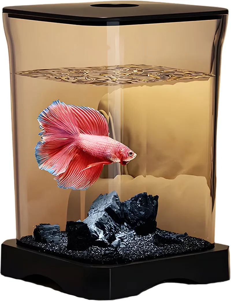Kleine Acryl Aquarium - Voor Thuiskantoor & Desktop - Starter Kit met LED Licht & Ecosysteem - Helder Decor voor Vissen - Zwart de Happiq en Noir – photo produit
