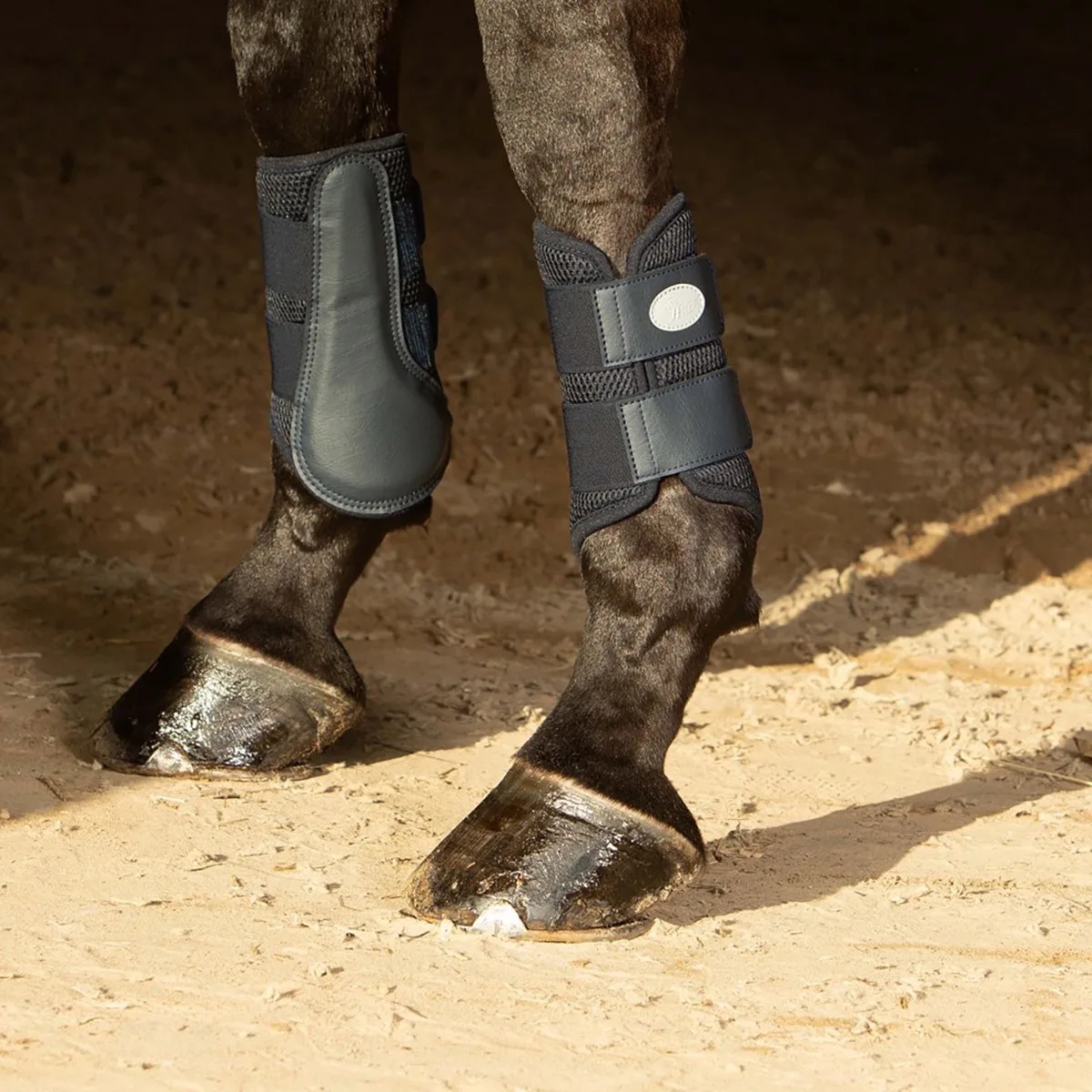 Beenbeschermers Flextrainer - Air Mesh - Maat M van Harry's Horse in Zwart – productfoto