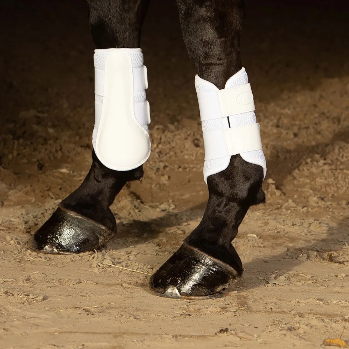 Beenbeschermers Harry's Horse Flextrainer Air Mesh de Harry's Horse en Blanc – photo produit