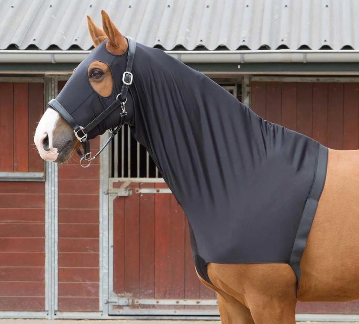 Borstbeschermer/hood lycra s van Harry's Horse in Zwart – productfoto