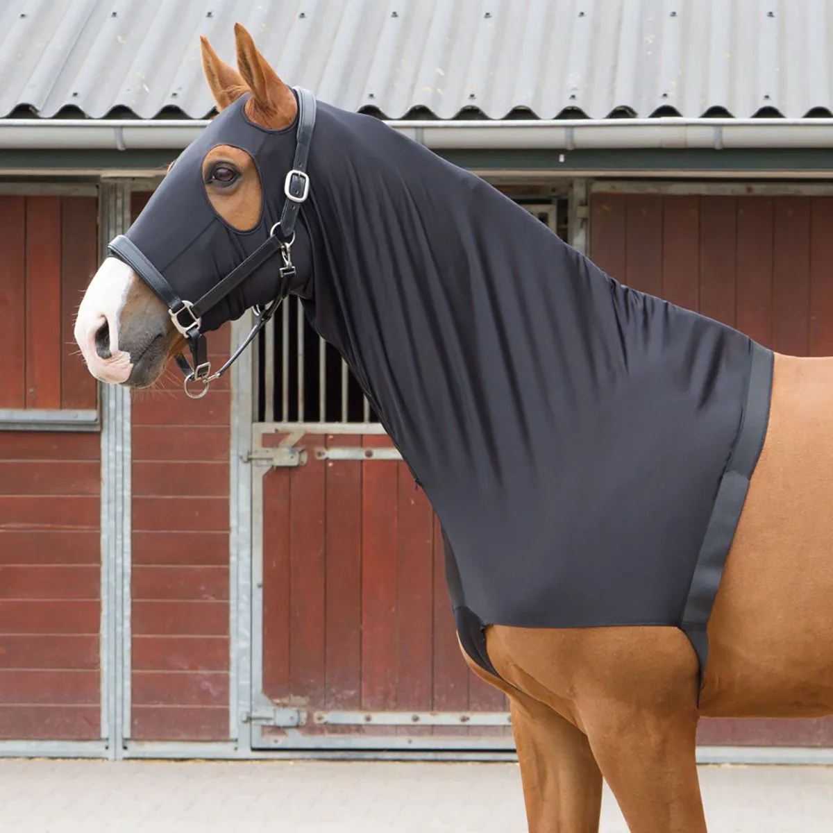 Borstbeschermer Hoody Lycra - Black - M van Harry's Horse in Zwart – productfoto