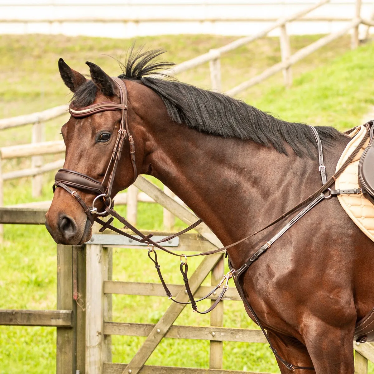 Borsttuig Rosegold - middel by Harry's Horse in Brown – product photo