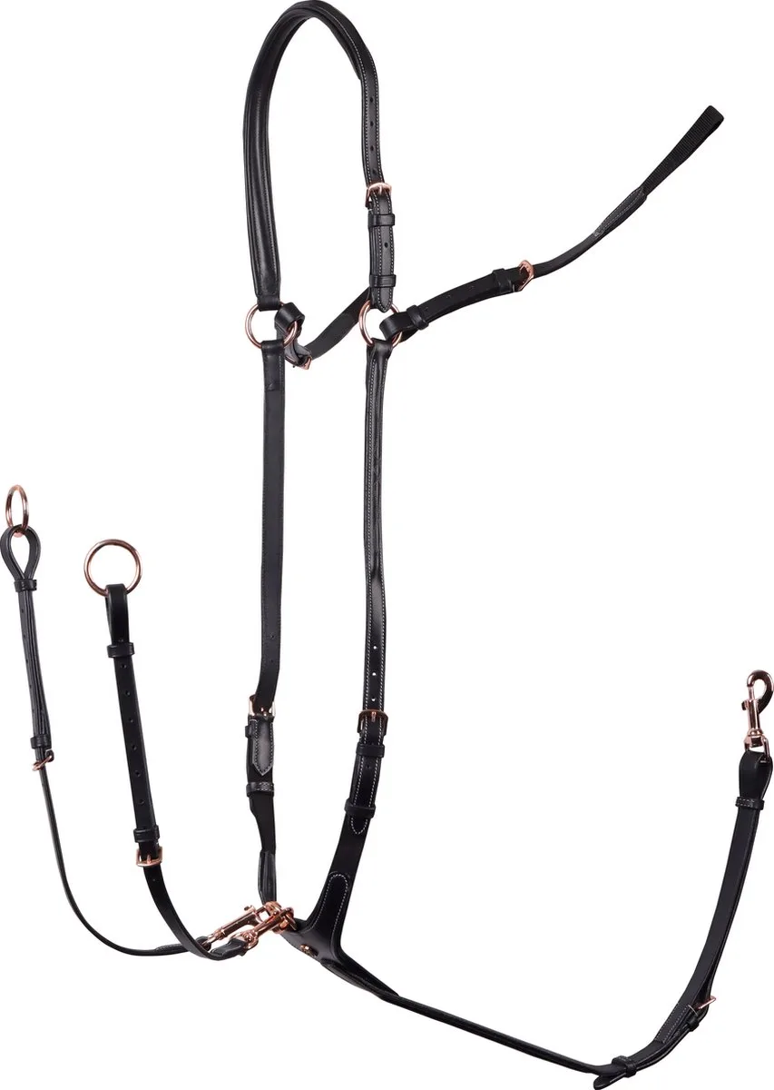 Borsttuig Rosegold - middel by Harry's Horse in Black – product photo