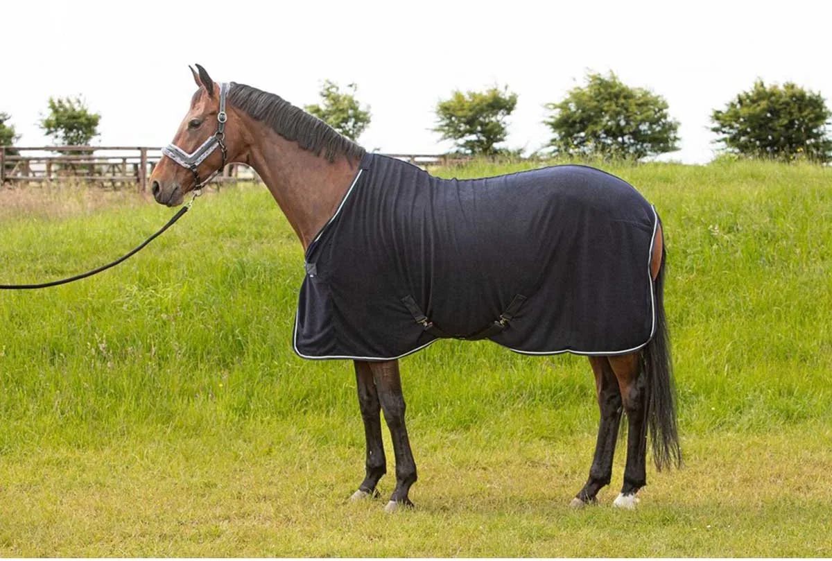 COOLERDEKEN LIGHTWEIGHT CORDUROY de Harry's Horse en Bleu foncé – photo produit