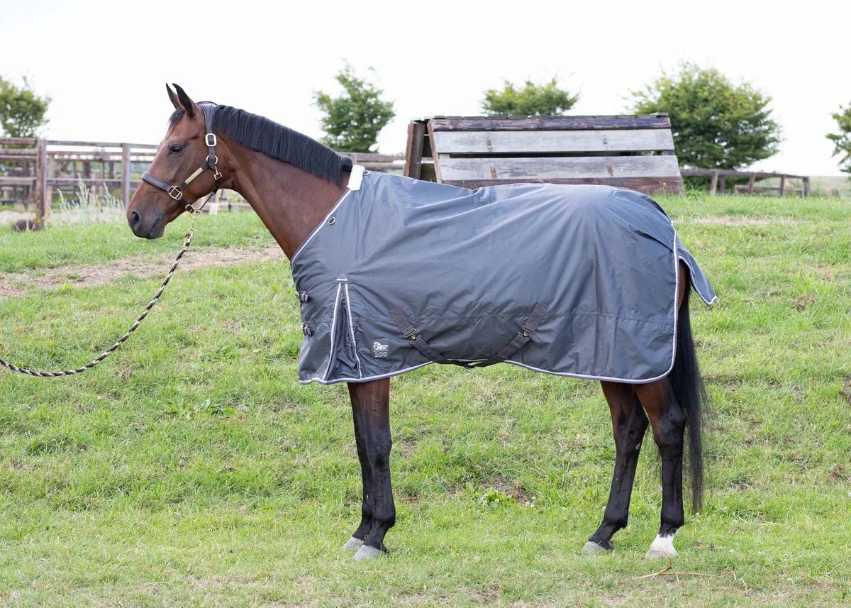 Deken Harry's Horse Thor 100gr - 125/165 de Harry's Horse en Gris – photo produit