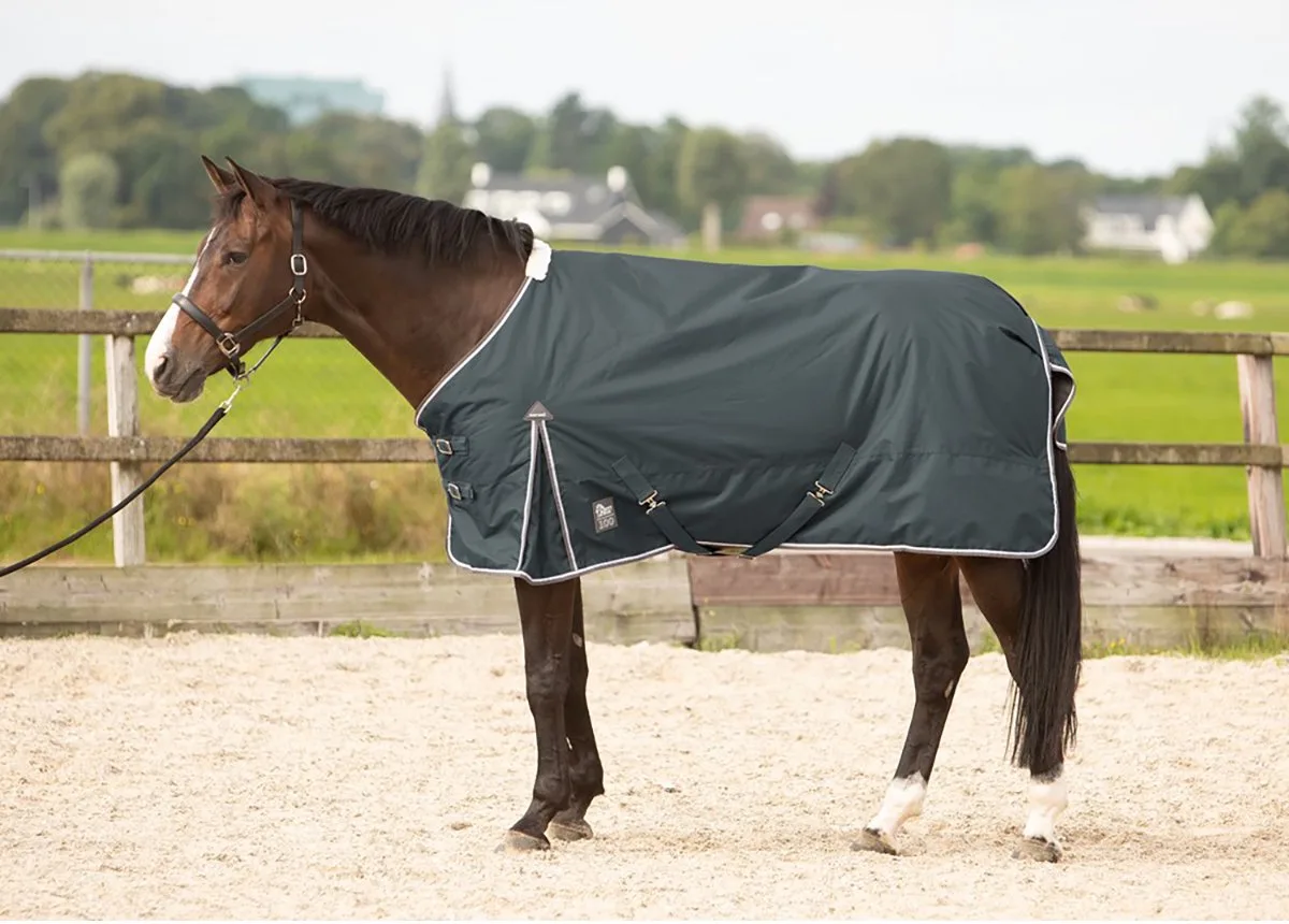 Deken Harry's Horse Thor 100gr - 130/175 de Harry's Horse en Gris – photo produit