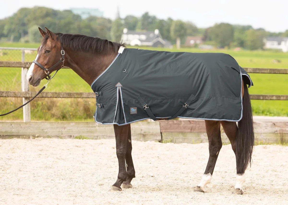 Deken Thor 200gr - 165/215 by Harry's Horse in Grey – product photo