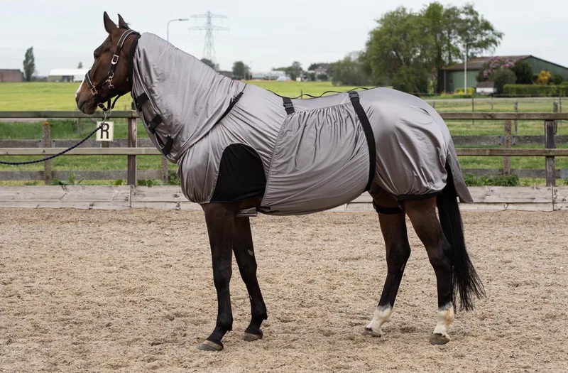 Eczeem/vliegendeken UV 145 / Pony de Harry's Horse en Gris, Argent – photo produit
