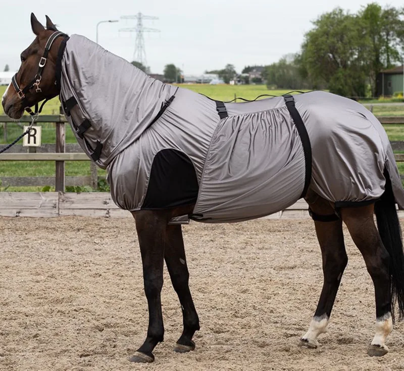 Eczeem/vliegendeken UV 165 Grijs / Zilver fra Harry's Horse i Grå, Sølv – produktbillede