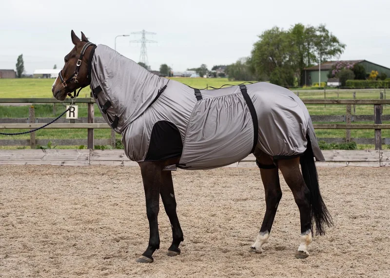 Eczeem/vliegendeken UV 215 Grijs / Zilver von Harry's Horse in Grau, Silber – Produktfoto