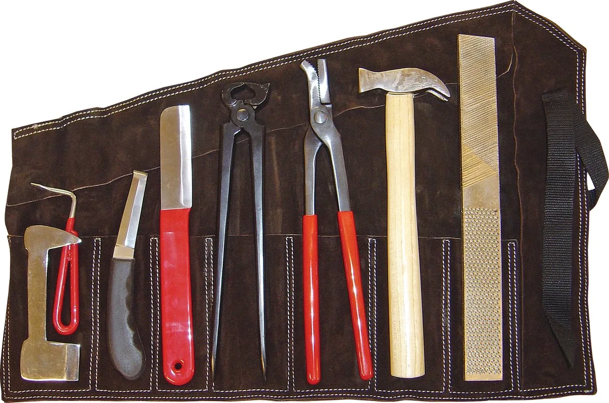 Farrier kit One Size de Harry's Horse en Noir – photo produit