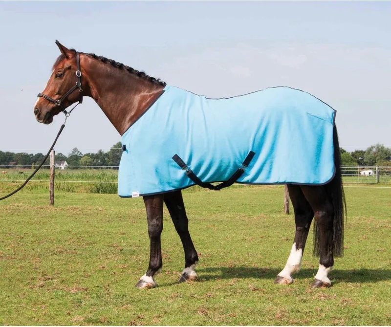 FLEECEDEKEN COLOURS by Harry's Horse in Blue – product photo