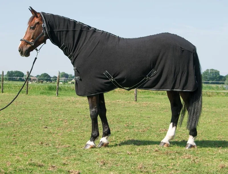 Fleecedeken Deluxe met hals 195cm de Harry's Horse en Noir – photo produit