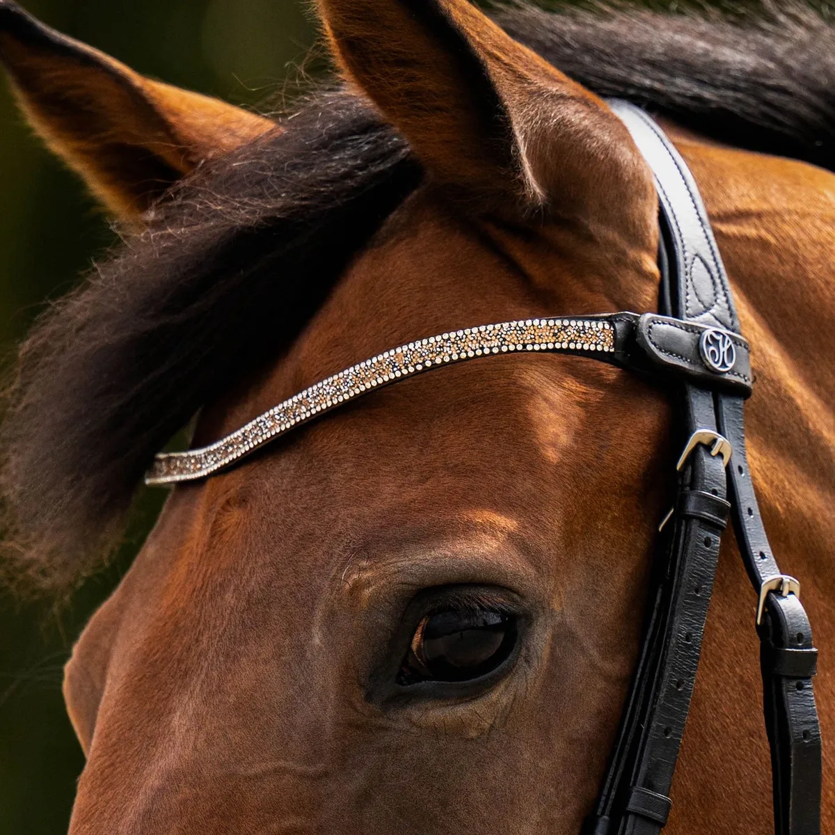 Frontriem Carat de Harry's Horse en Gunmetal – photo produit