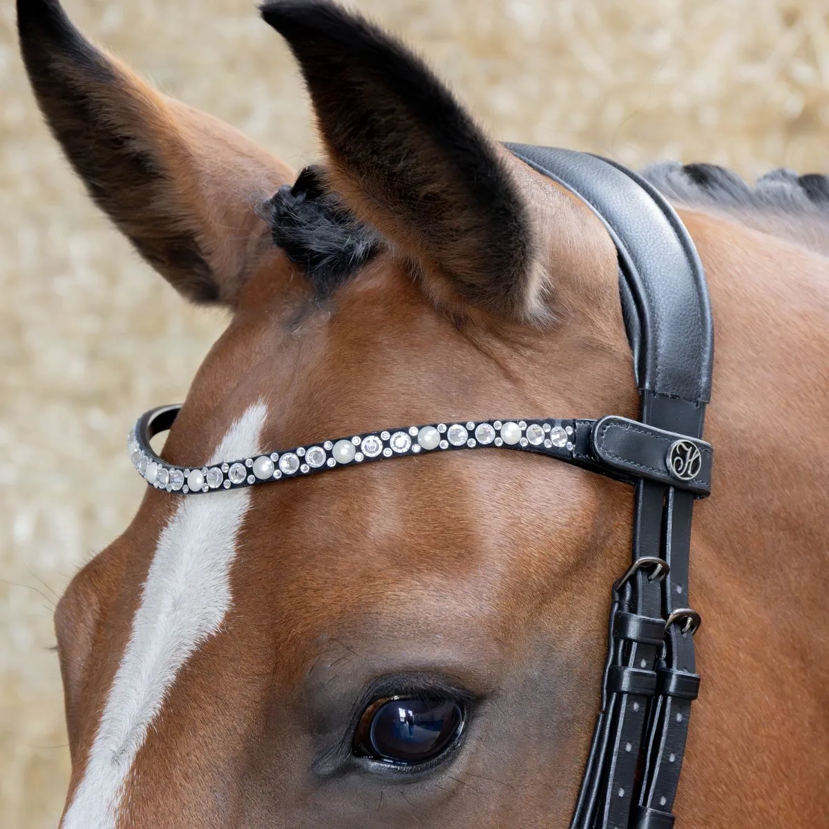 Frontriem Diamond Pearl de Harry's Horse en Argent – photo produit