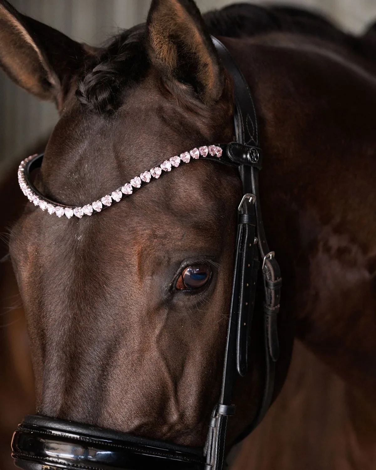 Frontriem Pink Love från Harry's Horse i Rosa – produktbild