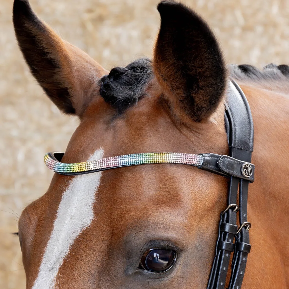 Frontriem Rainbow de Harry's Horse en Rainbow – photo produit