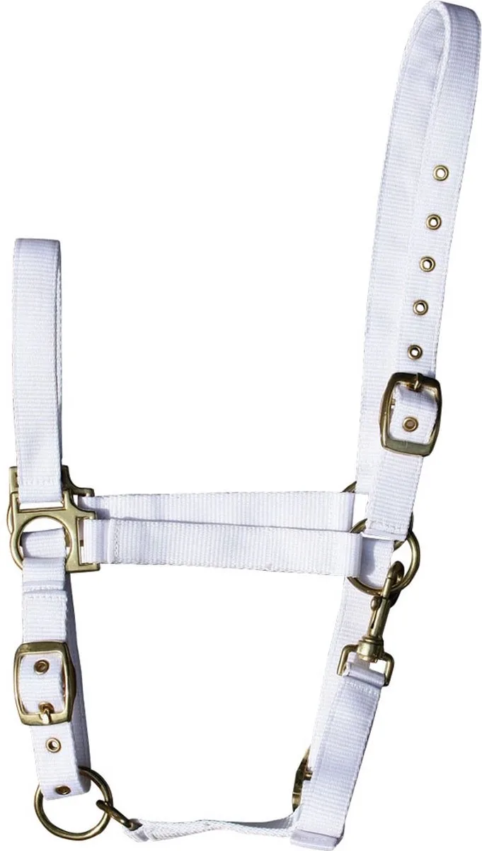 Halster 3x verstelbaar full by Harry's Horse in Olijf – product photo