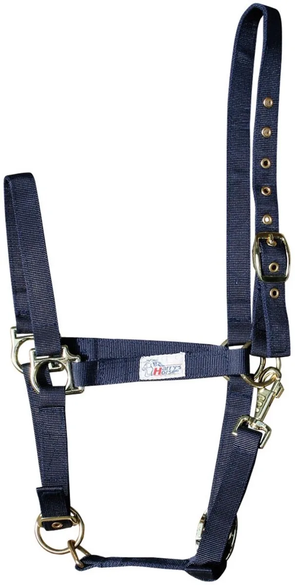 Halster 3x verstelbaar pony by Harry's Horse in Dark blue – product photo