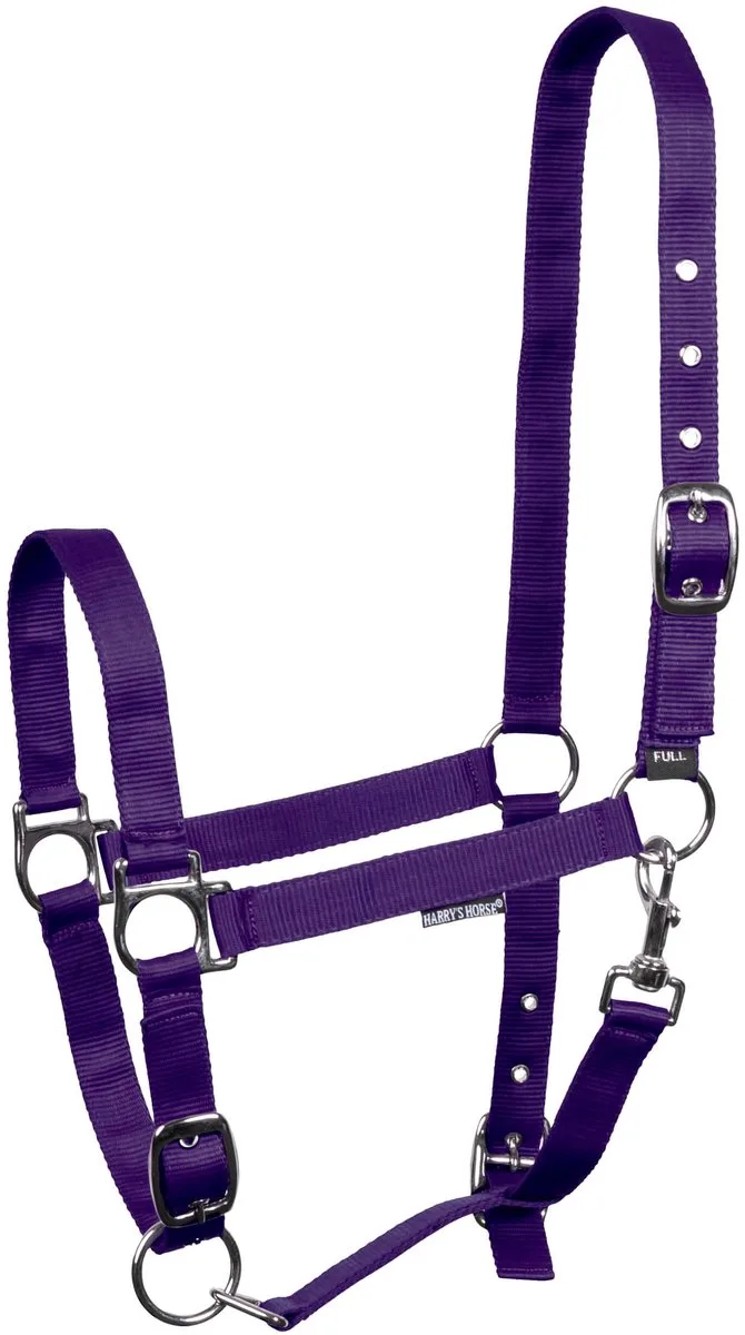 Halster 3x Verstelbaar | Pony by Harry's Horse in Purple – product photo