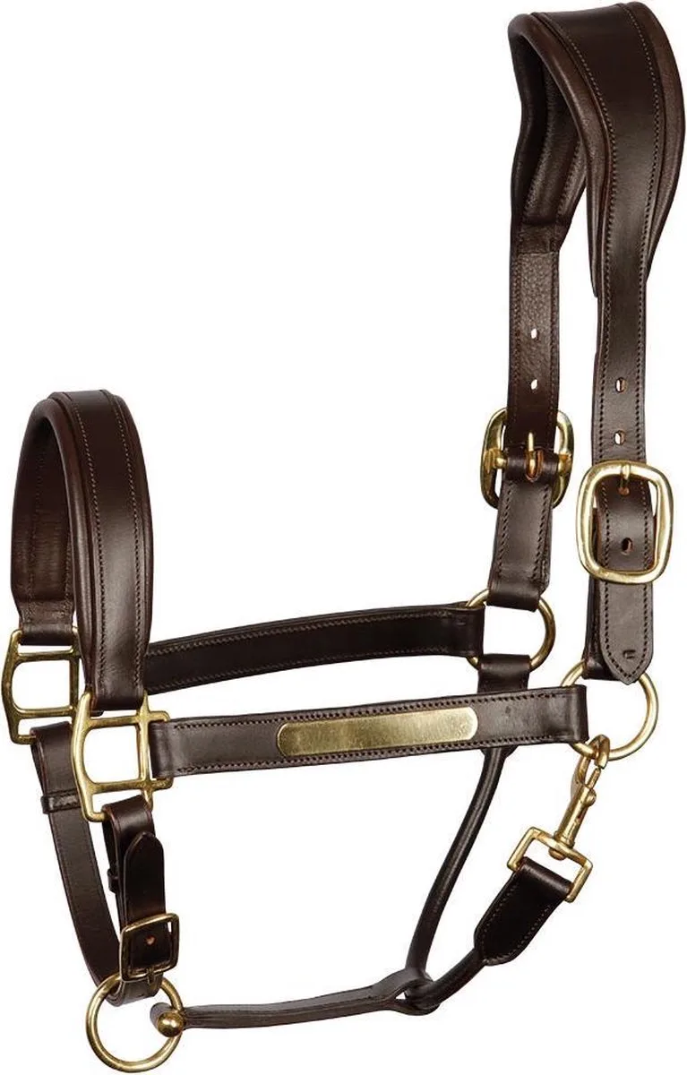 Halster anatomic Brown - Full | Halstertouw paard von Harry's Horse in Gold – Produktfoto
