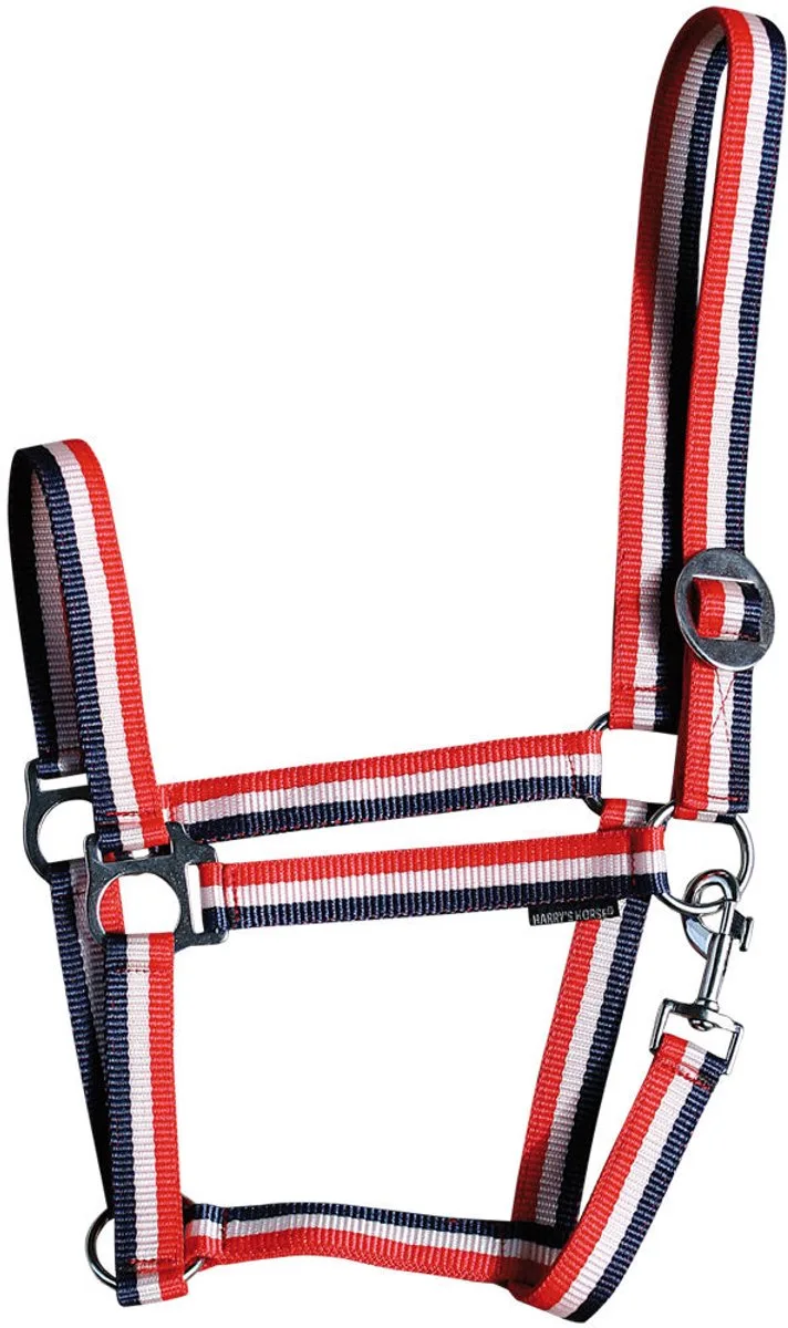 Halster Economy | Full by Harry's Horse in Lichtblauw-roze-lichtblauw – product photo