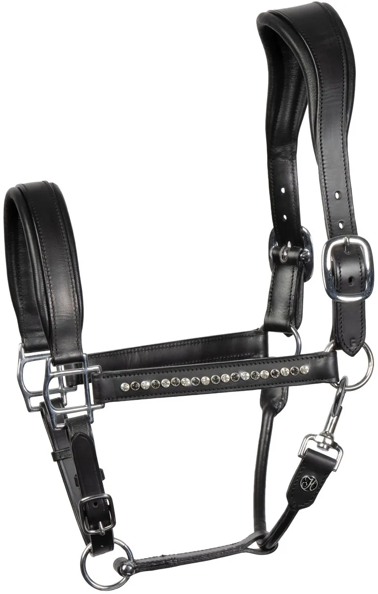 Halster Leder Anatomic Crystal | Cob by Harry's Horse in Black – product photo