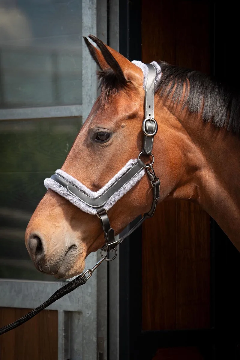 Halster Leder Anatomic Furry Matt - Full by Harry's Horse in Black – product photo