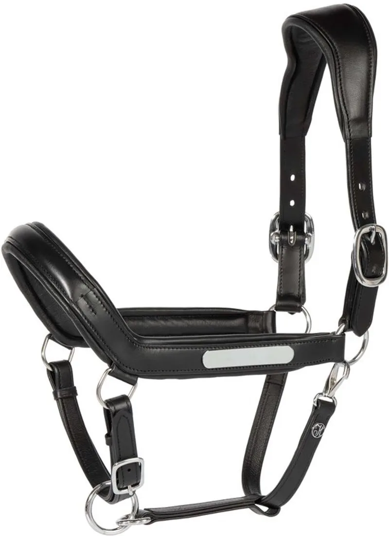 Halster Leder Anatomic II Black - Full de Harry's Horse en Noir – photo produit