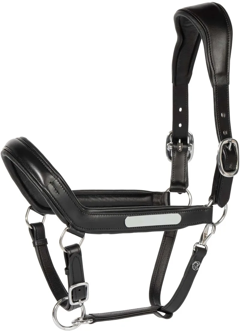 Halster Leder Anatomic II | Cob von Harry's Horse in Schwarz – Produktfoto