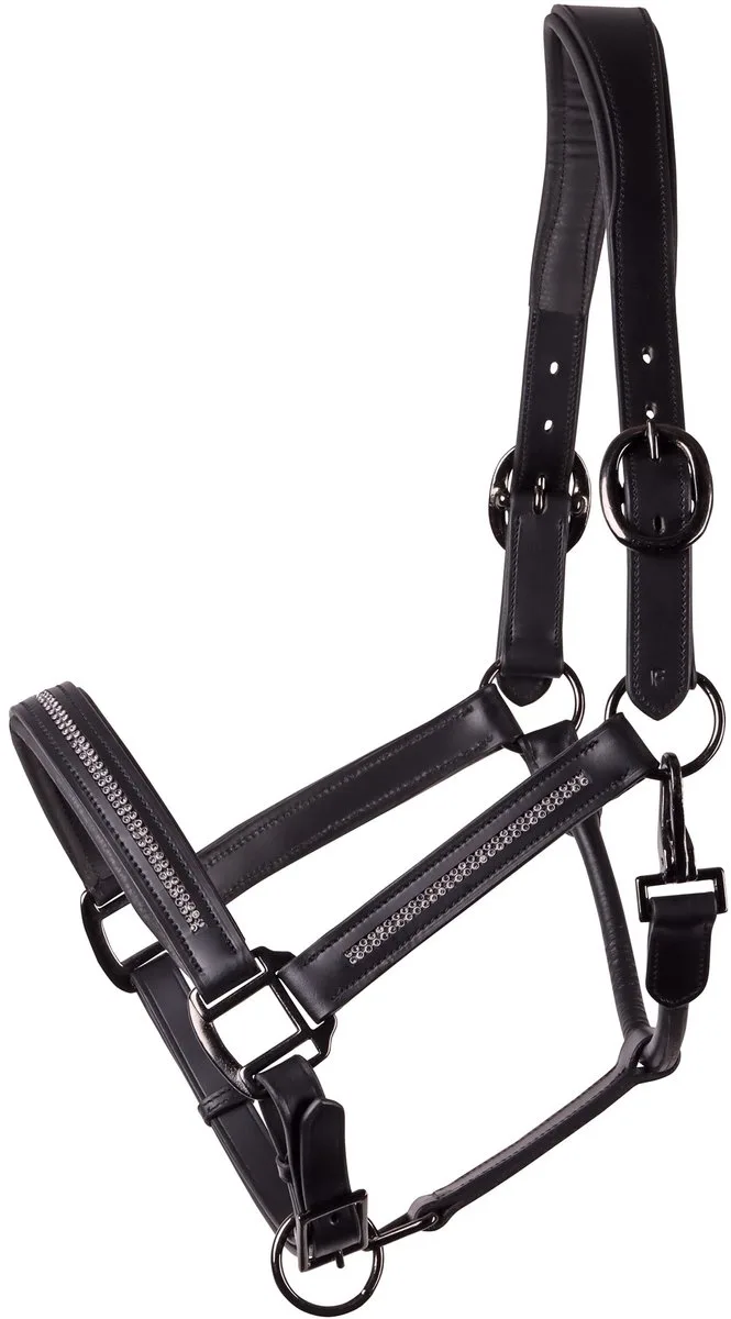 HALSTER LEDER METALLIC by Harry's Horse in Zwart-donkergrijs – product photo