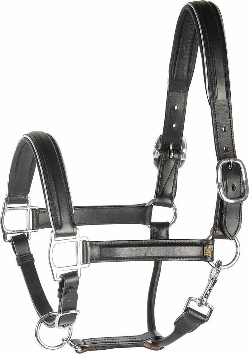 Halster leder, zwart met bies FULL zilver fra Harry's Horse i Sort, Sølv – produktbillede