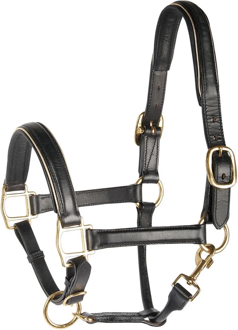 Halster Leder - Zwart - Met Bies Zilver Cob de Harry's Horse en Noir, Argent – photo produit