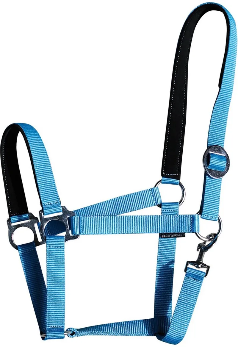 Halster padded cob von Harry's Horse in Hellblau – Produktfoto