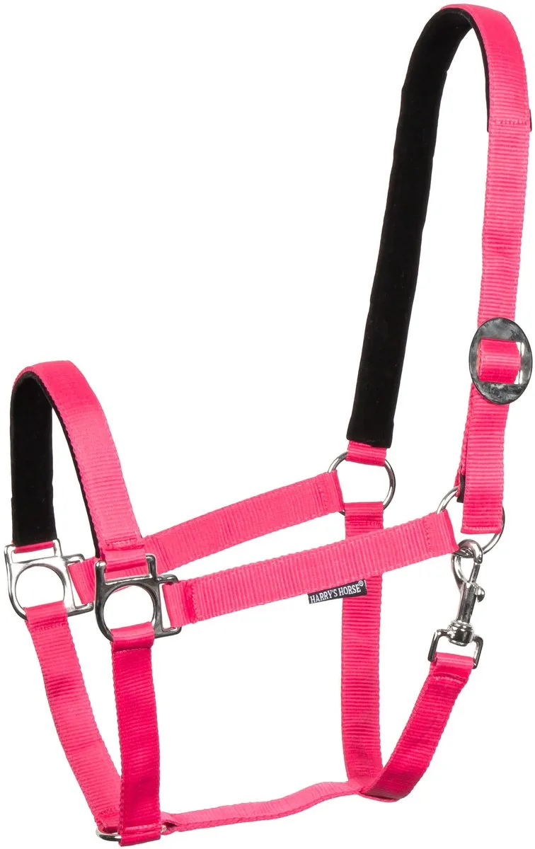 Halster Padded | Full by Harry's Horse in Fuchsia – product photo