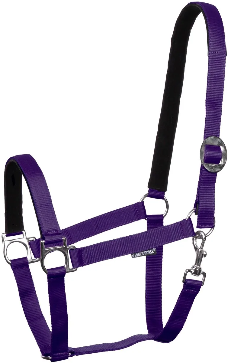 Halster Padded | Full von Harry's Horse in Lila – Produktfoto