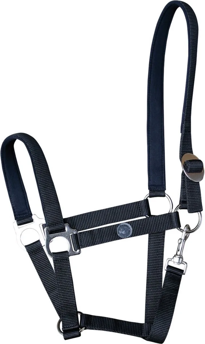 Halster padded Full van Harry's Horse in Zwart – productfoto