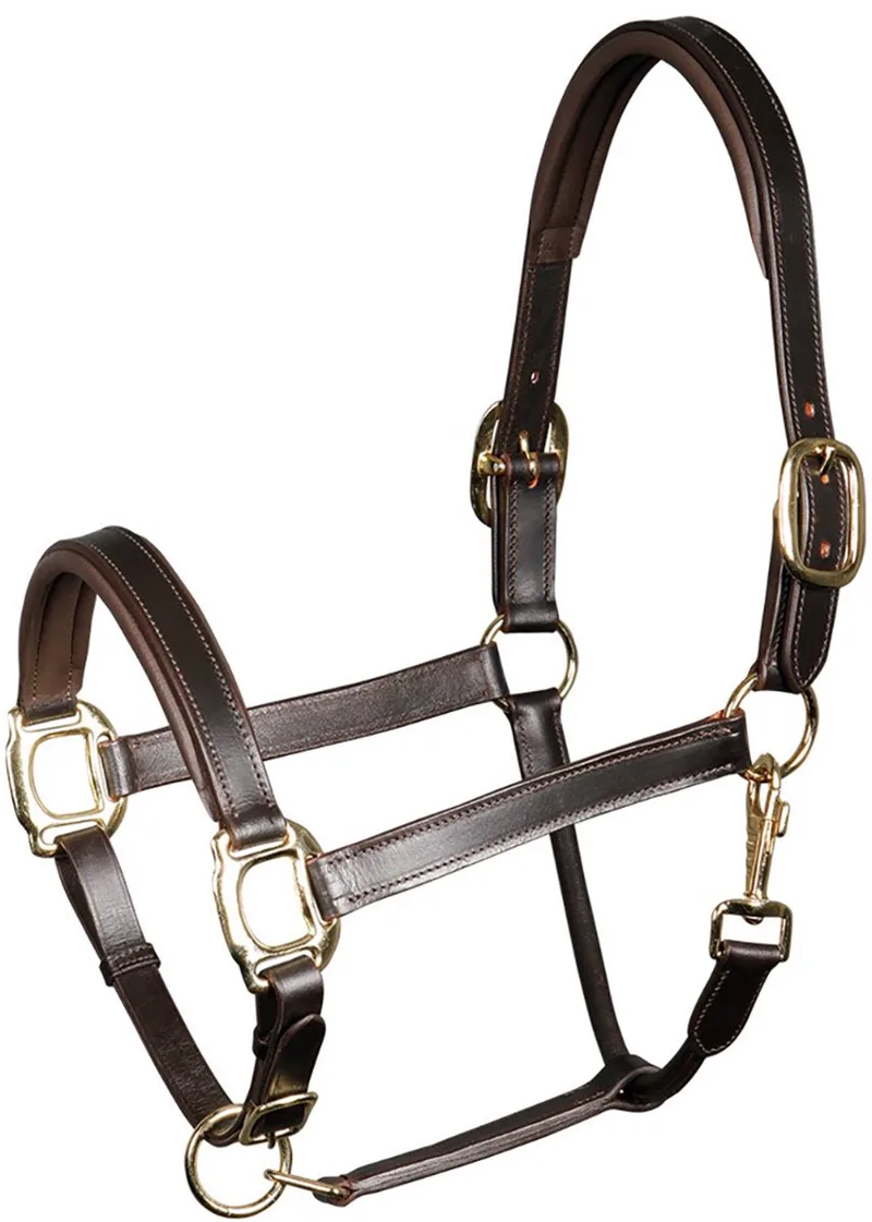 Halster Padded Leer - paard by Harry's Horse in Brown – product photo