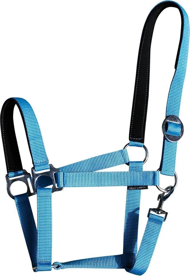 Halster padded by Harry's Horse in Light blue – product photo