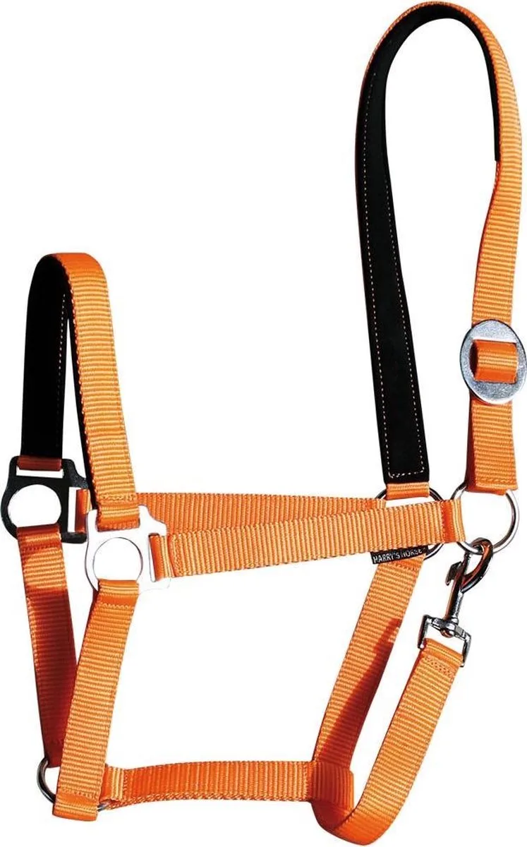 Halster padded by Harry's Horse in Orange – product photo