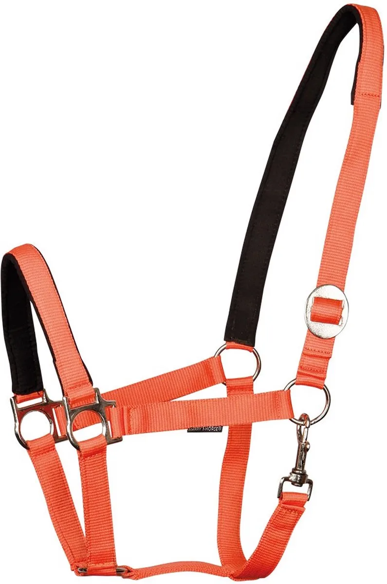 Halster padded pony von Harry's Horse in Dunkelblau – Produktfoto