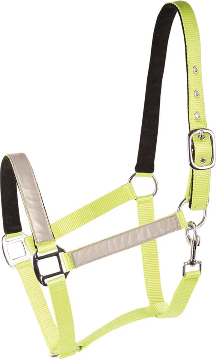 Halster Reflective by Harry's Horse in Green – product photo