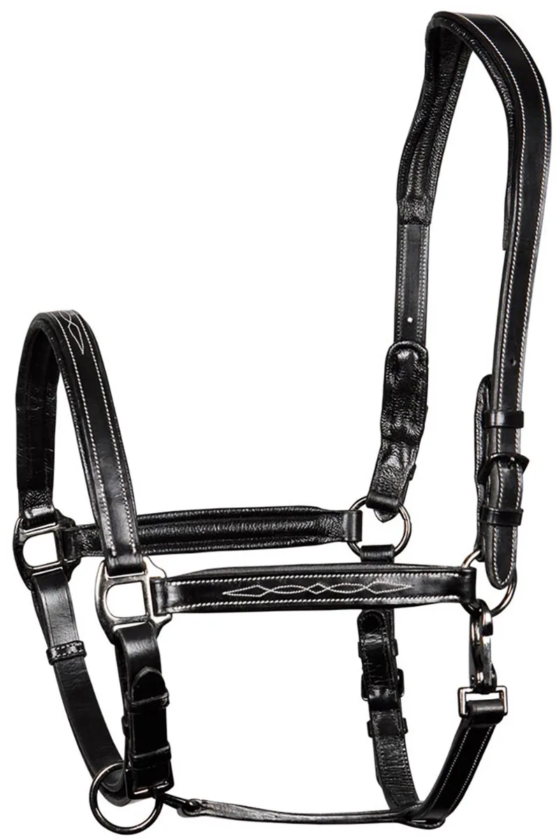 Halster Supreme Leer - middel von Harry's Horse in Schwarz – Produktfoto