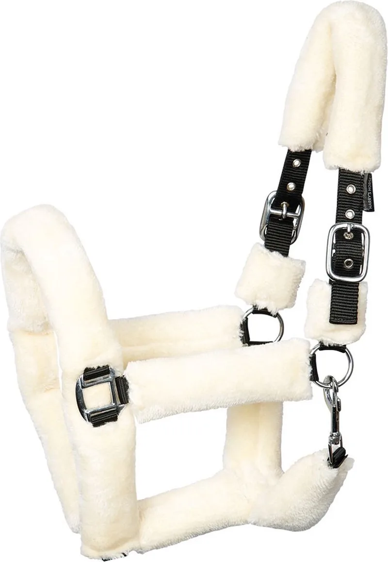 Halster Teddy Pony von Harry's Horse in Schwarz – Produktfoto