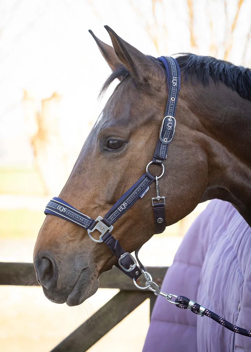 Halsterset EQS by Harry's Horse in Black-sand – product photo