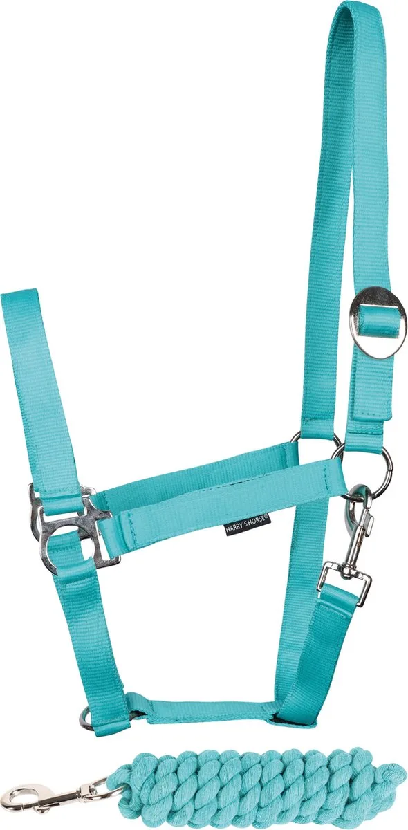 Halsterset Initial shetland de Harry's Horse en Vert – photo produit