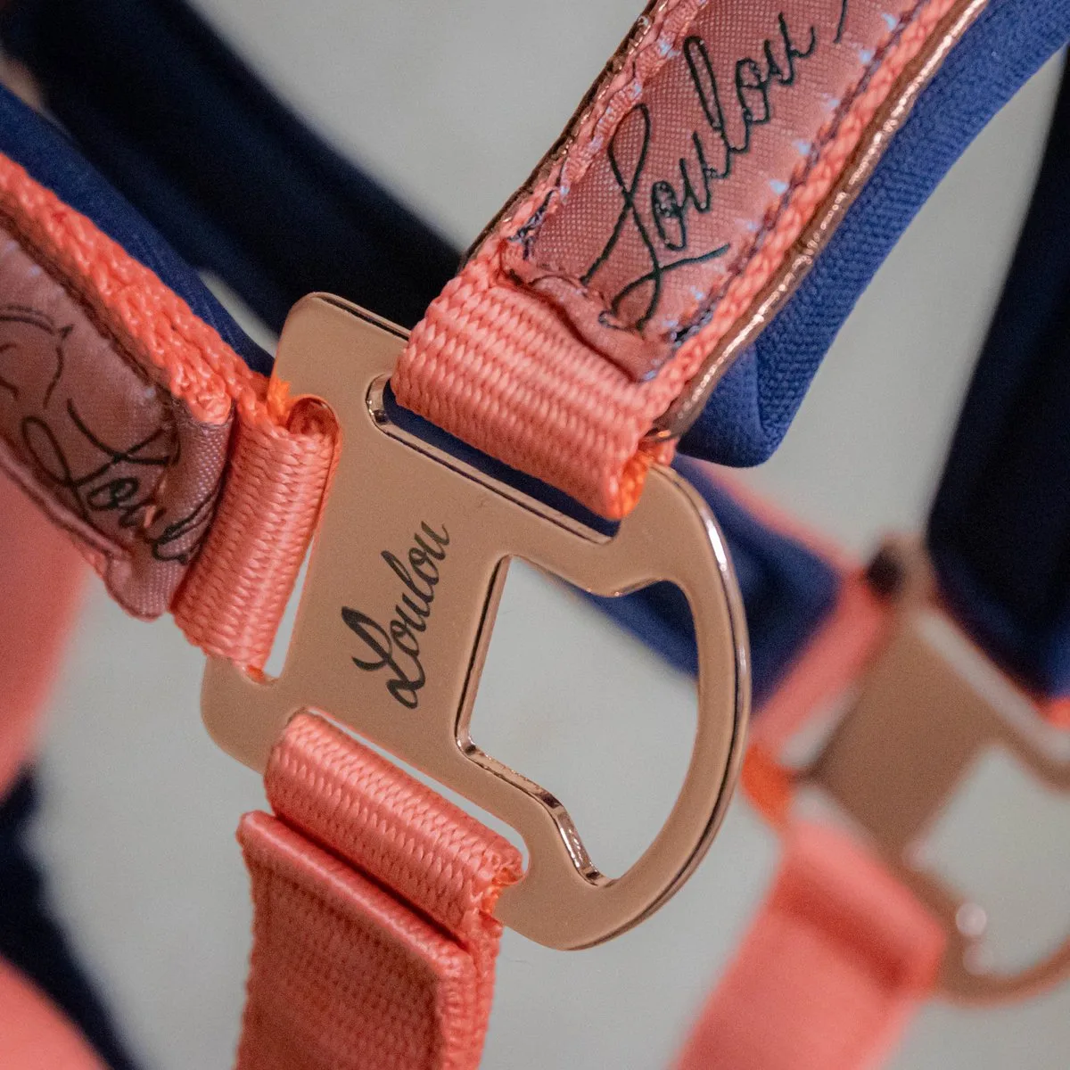 Halsterset LouLou de Harry's Horse en Crabapple – photo produit