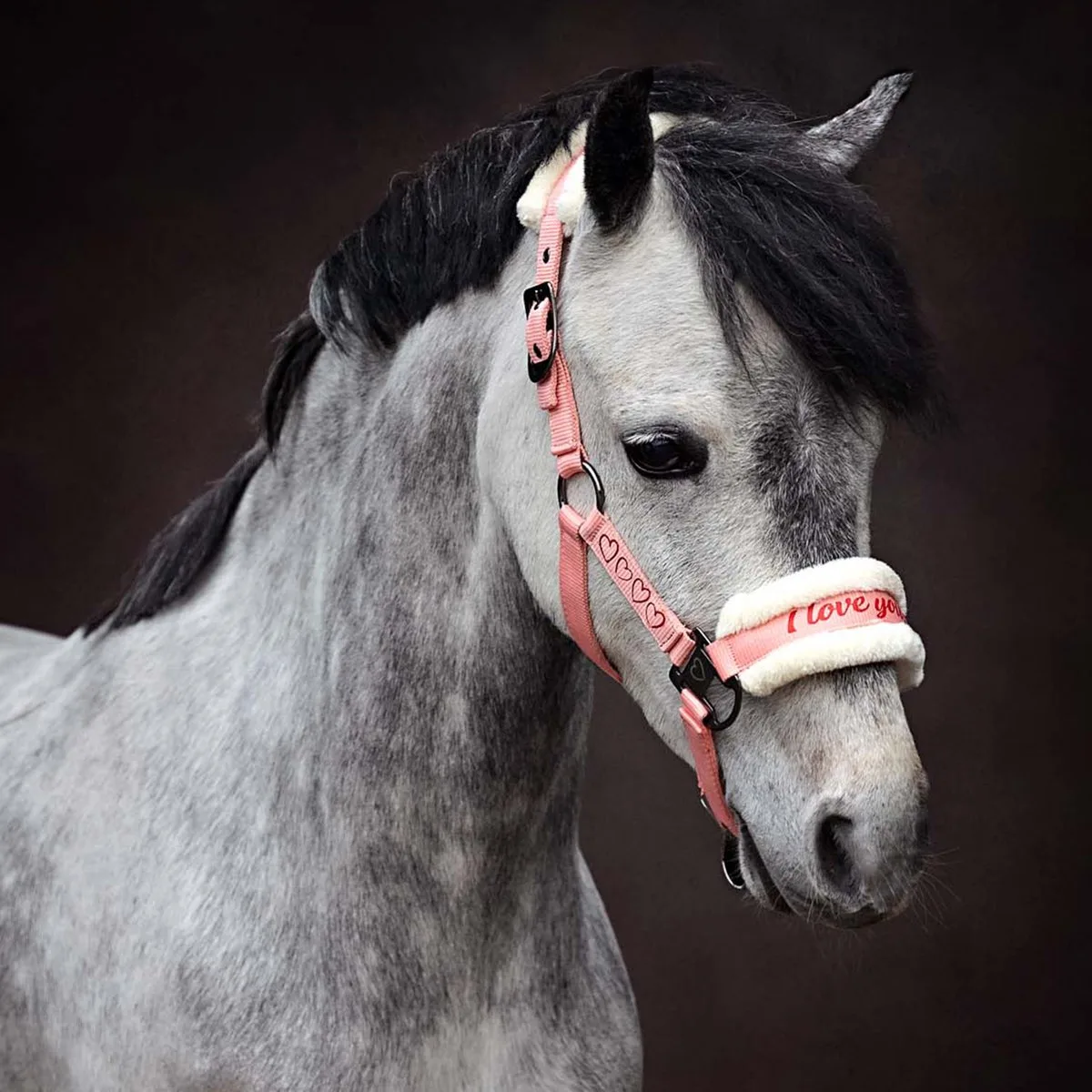 Halsterset Love | Pony de Harry's Horse en Rose – photo produit