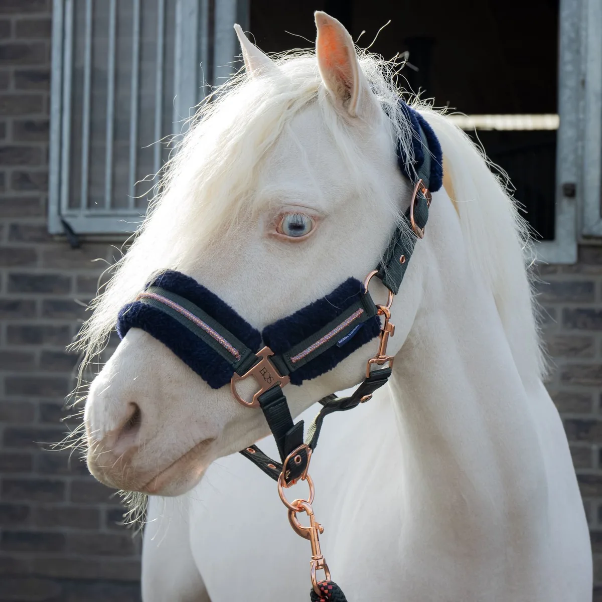 Halsterset Soft | Pony de Harry's Horse en Duffel-bag – photo produit