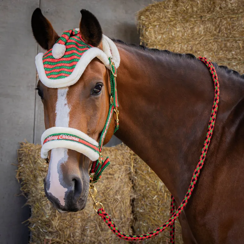 Halter, longe en oorbescherming voor paard Harry's Horse Christmas by Harry's Horse in Red – product photo